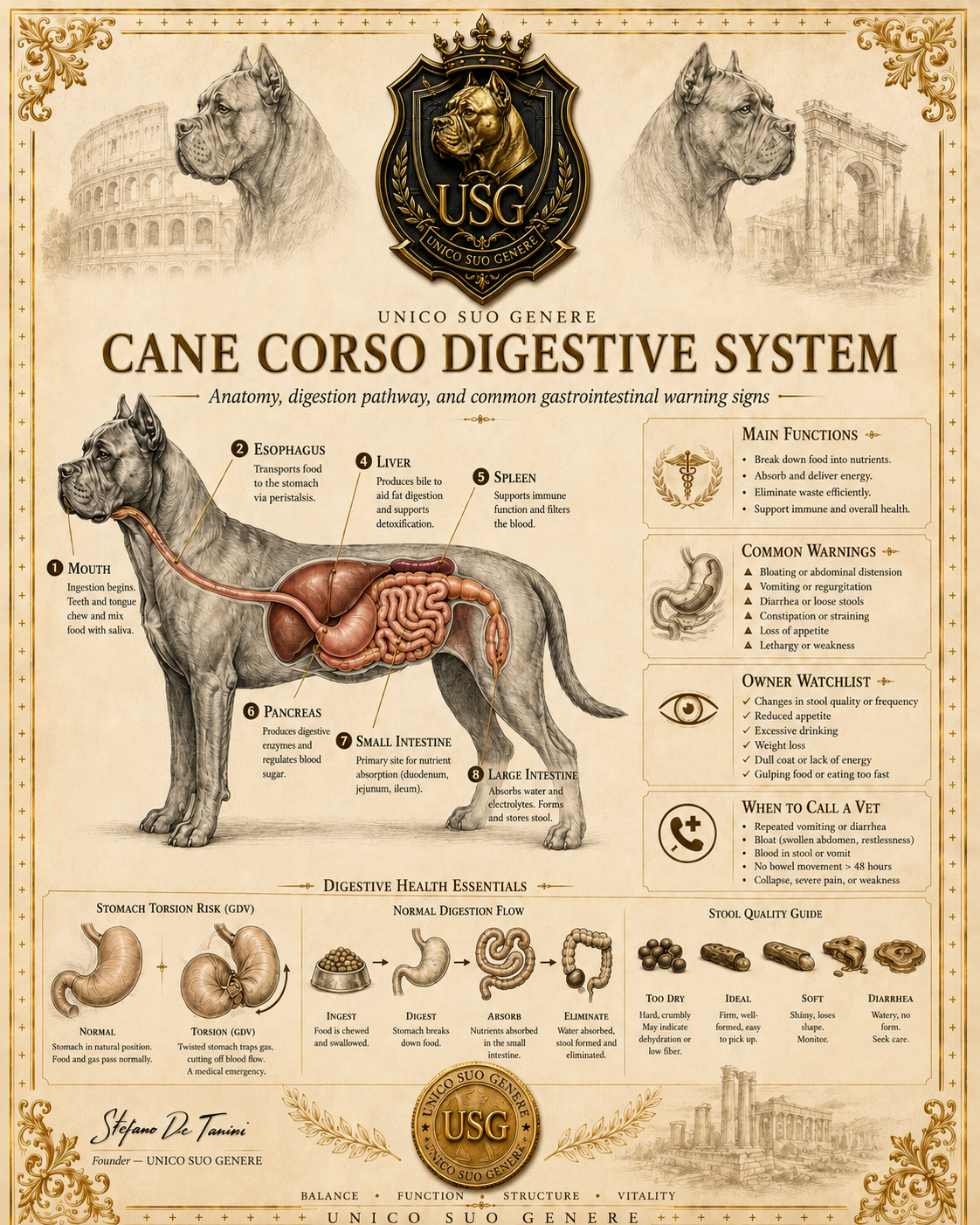Digestive System